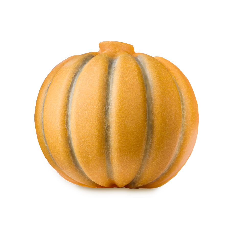 pumpkin-scrubee